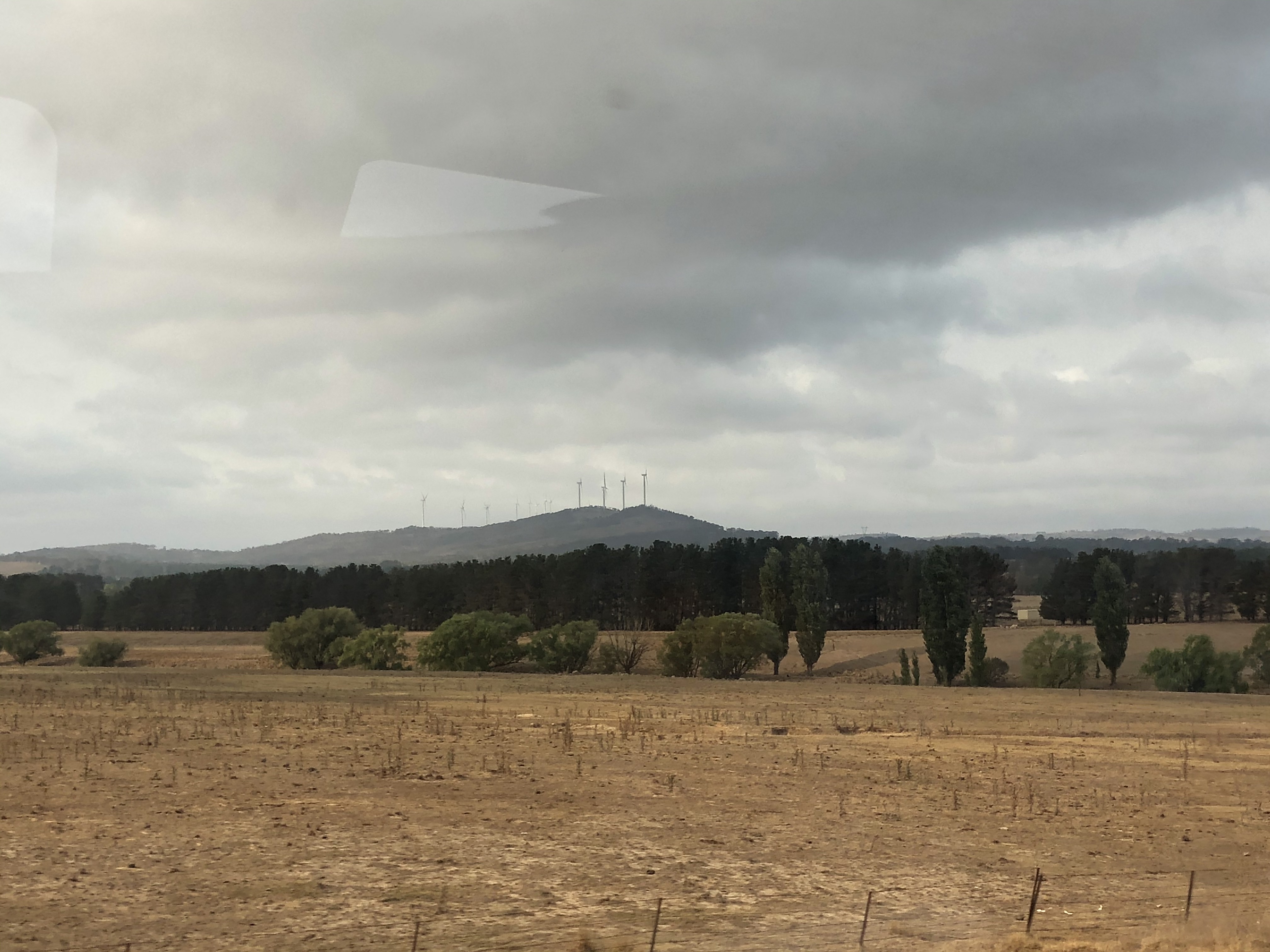 Capital Wind Farm in the distance