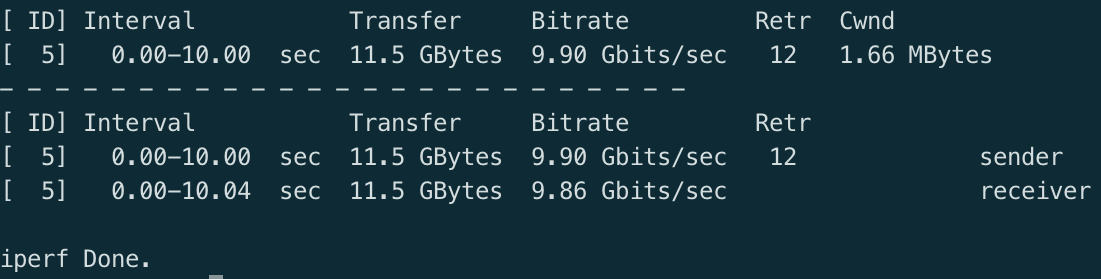 Speedtest results showing 9.9 Gb/s